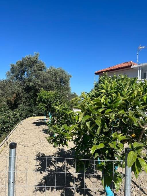 Alex House Apartman Párga Kültér fotó